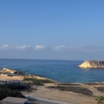BUGGY SAFARI – LARA BAY
